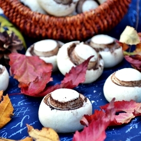 Mushrooms Cookies