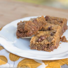 Cookie Butter Sea Salt Blondies