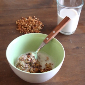 Sugar Free Granola w Protein Milk