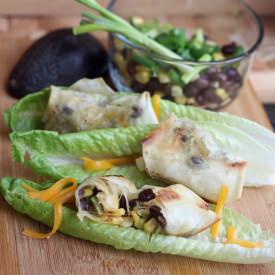 Baked Mexican Springrolls