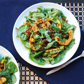 Curried Delicata, Crunchy Lentils