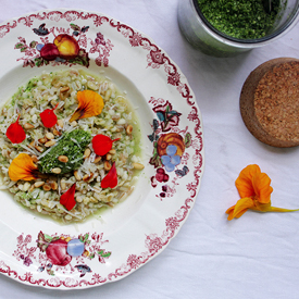 Nasturtium Pesto Risotto