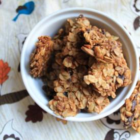 Pumpkin Chocolate Granola Bites