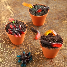 Creepy Crawly Mud Pie Cupcakes