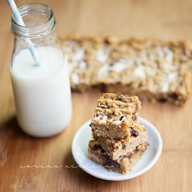 Chocolate Chip Protein Bars