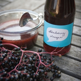 Elderberry Vinegar & Syrup