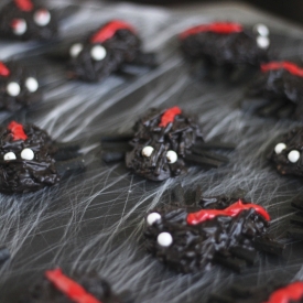 Chocolate Red Back Spiders