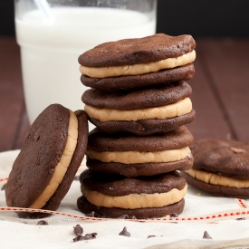 Chocolate Peanut Butter Cookies