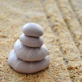 Edible Zen Garden