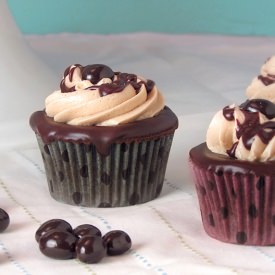 Chocolate Coffee Cupcakes