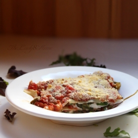 Vegetarian Salsa Lasagna