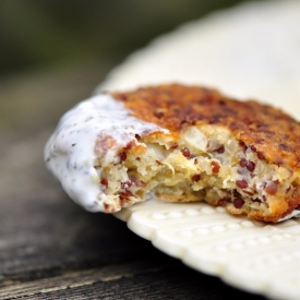 Crispy Quinoa Fritters