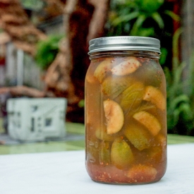 Pickled Feijoa Guavas