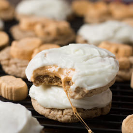 Pumpkin Spice Marshmallow Cookies