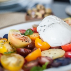 Appetizer, Burrata