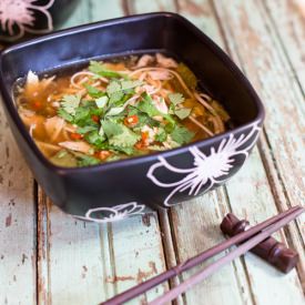 Asian Udon Noodle Soup