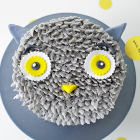 DIY Gray Owl Cake