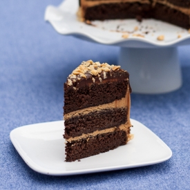 Peanut Butter Chocolate Cake