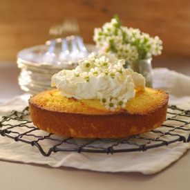 Citrus and Polenta Cake