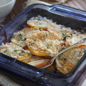 Butternut Squash & Cranberry Gratin