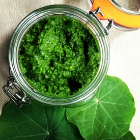 Nasturtium Pesto