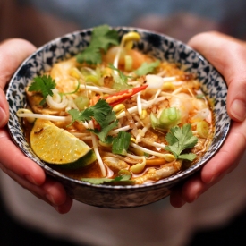 Malaysian Style Laksa Soup