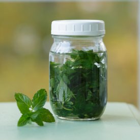 DIY Mint Extract