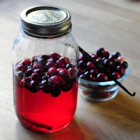 Homemade Cranberry Vanilla Vodka