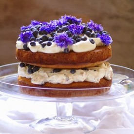 Lemony Hazelnut & Blueberry Cake