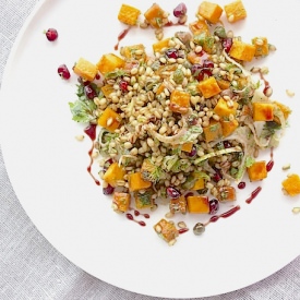 Wheat Berry & Squash Salad