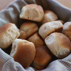 Dinner Rolls