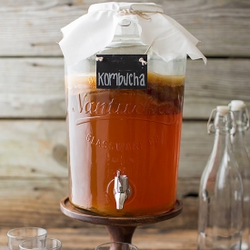 How to Make Kombucha