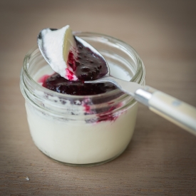 Homemade Yogurt in 3 Hours