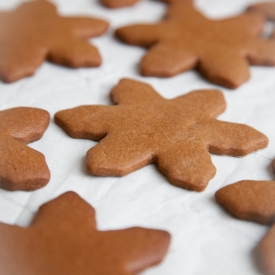 Gingerbread Cookies