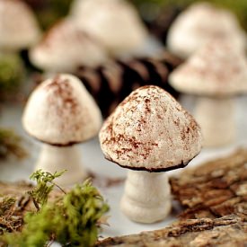 Meringue Mushrooms