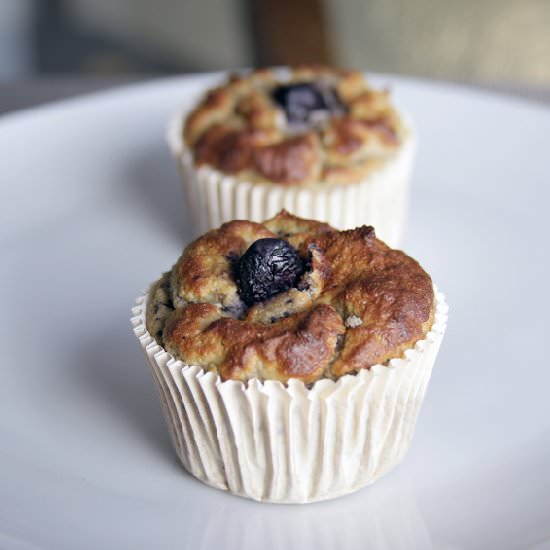 Blueberry Lemon Muffins