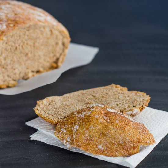 No Knead Whole Wheat Bread