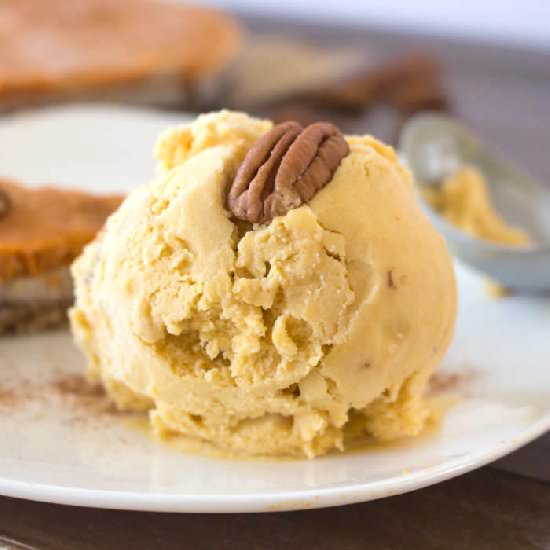 Vegan Pumpkin Spice Ice Cream