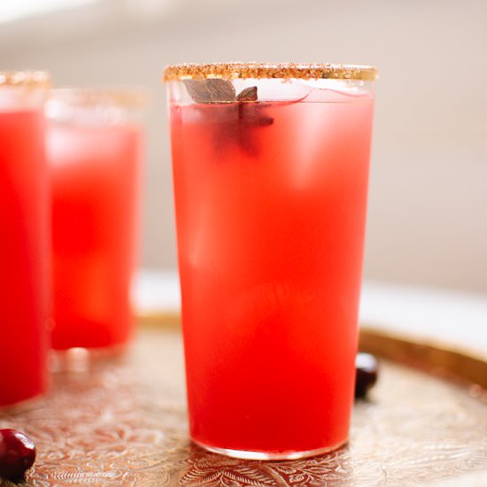 Fresh Cranberry Margaritas