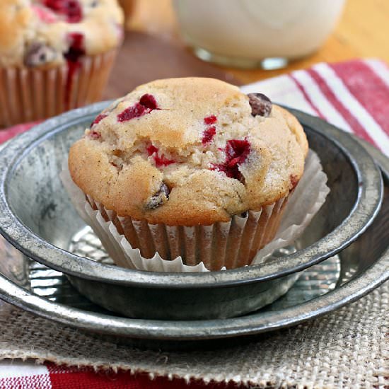 Cranberry Dark Chocolate Muffins