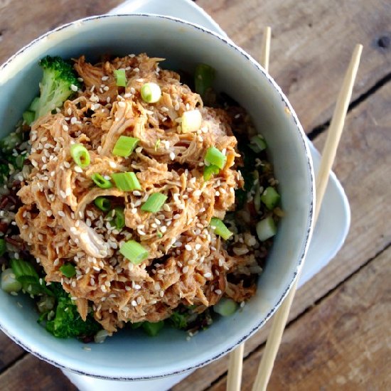 Slow Cooker Honey Sesame Chicken