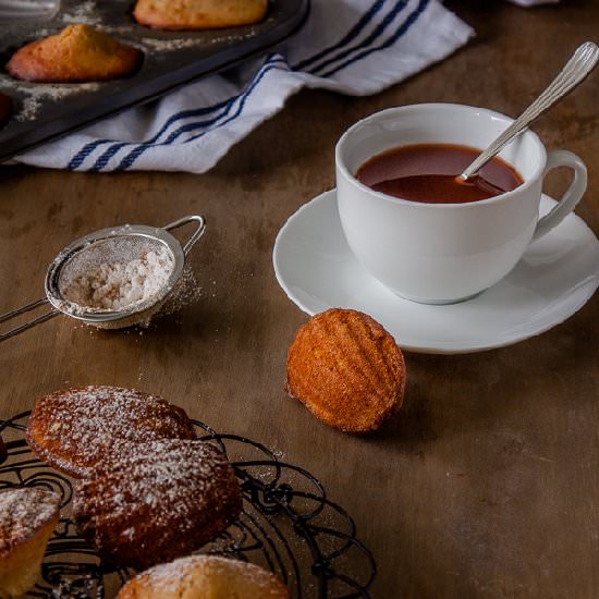 Gingerbread Madeleines