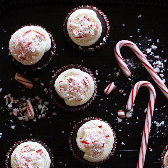 Chocolate-Peppermint Cupcakes