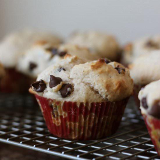 Chocolate Chip Cinnamon Muffins