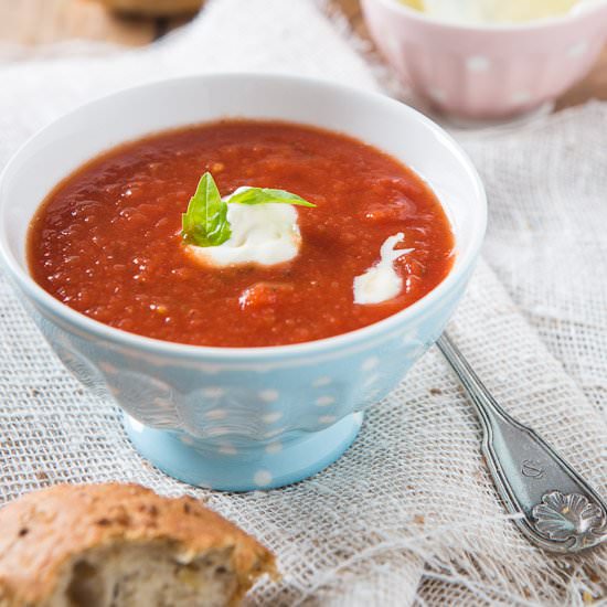 Quick Tomato Soup