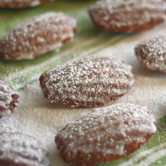 Lemon Glazed Gingerbread Madeleines