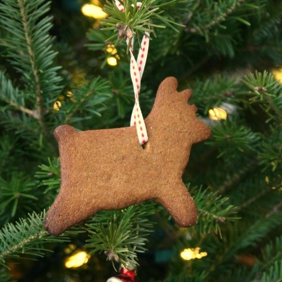 Cardamom Scented Gingersnaps