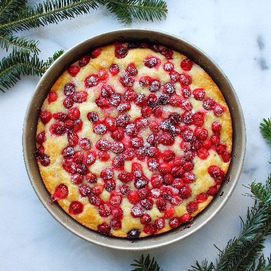 Easy Cranberry Lemon Cake