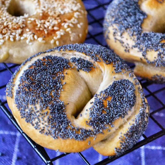 Bagels with Poppy and Sesame Seeds