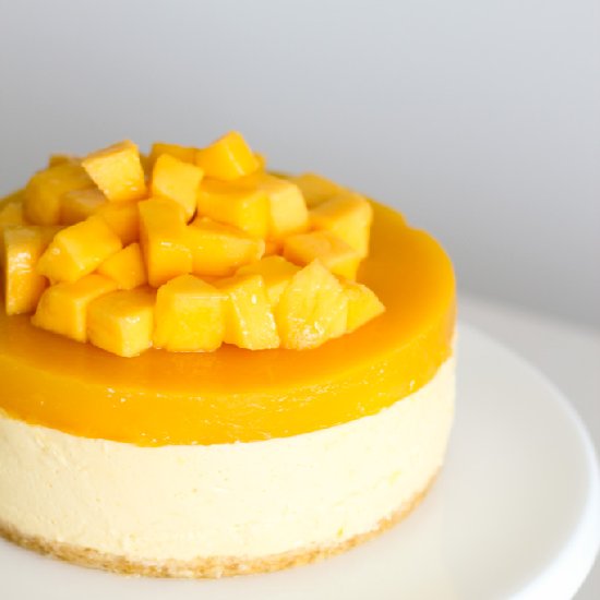 Mango Cheesecake